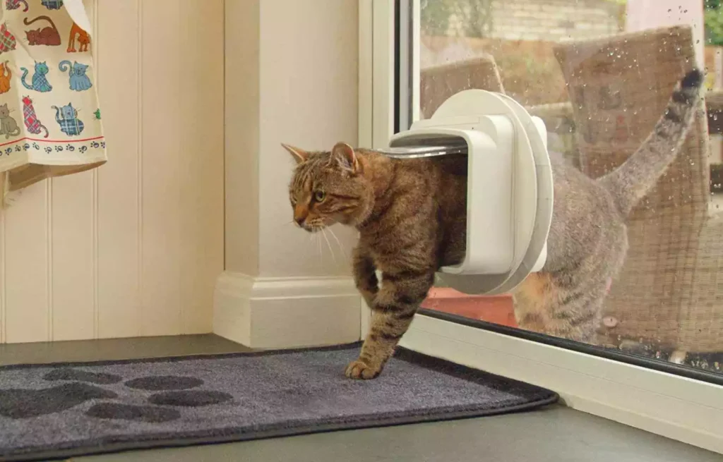 Secure Cat Flap Installation